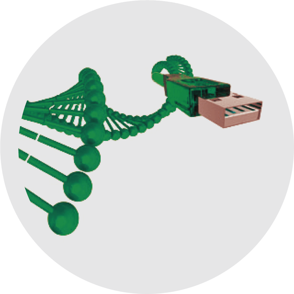 Pacbio Iso-Seq