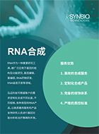 RNA合成